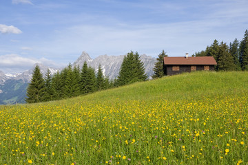 Sommer in den Bergen