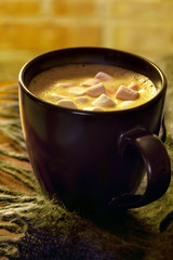 Hot Chocolate