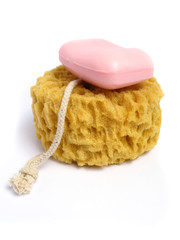 A natural wild sponge whit a pink soap on white background