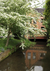 mill stream