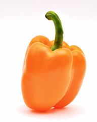 Orange capsicum — upright