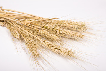 wheat ears