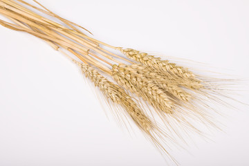 wheat ears