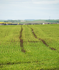 Tracks to nowhere