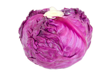 Obraz premium purple cabbage