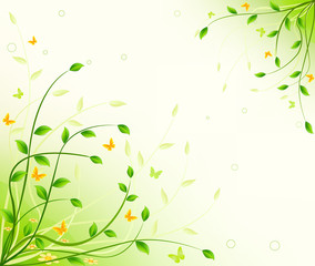 Floral background  vector