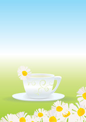 chamomile tea