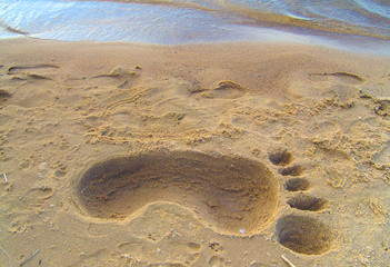 Trace of very big foot