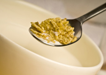 spoon with cereals
