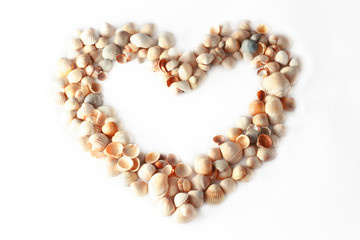 frame heart of sea shells