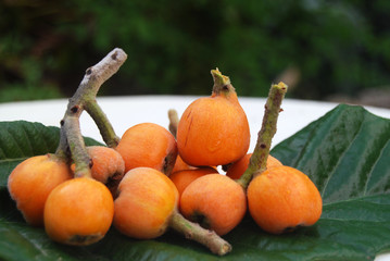 Poignée de nèfles bio (mespilum)