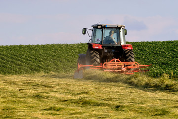 Traktorfahrer bei Feldarbeit