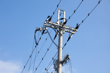 Electrical tower