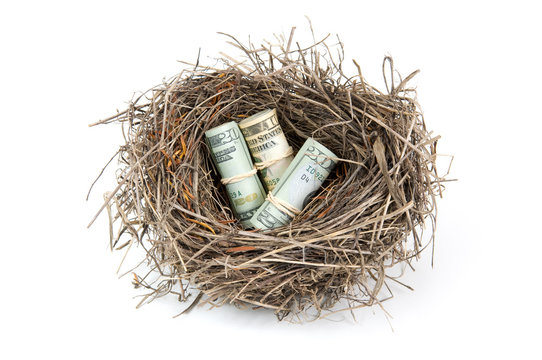 Money Nest Egg