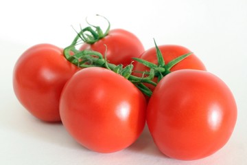 frische Tomaten
