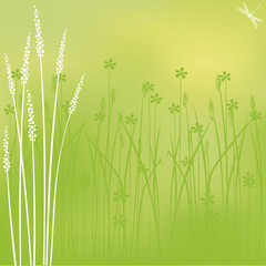 Marsh flowers background with free space for your text