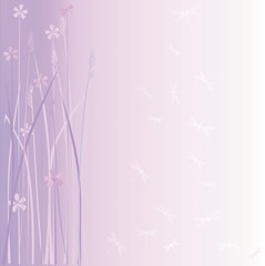 Fototapeta na wymiar Pink marsh flowers background with free space for your text