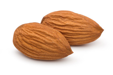 almond 03