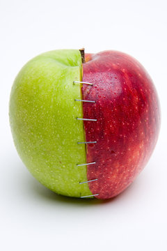 Apfel