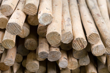Holzstangen