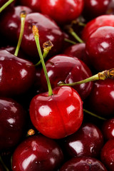 Red Cherry