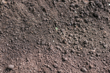 Soil