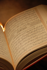 The Holy Quran