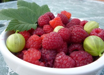 fruits rouges