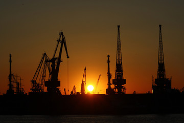 Obraz premium sea cranes on sunset in harbor