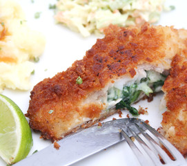 fisch mit spinat
