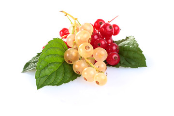 rote und wei&szlig;e johannisbeeren,fresh currants