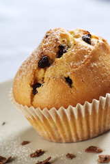Chocolate chip muffin