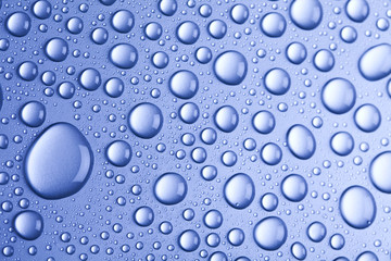 Fluid