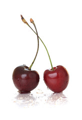 Cherry.