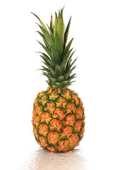 Fototapeta premium Pineapple.