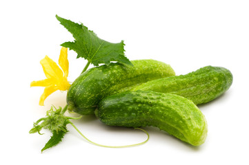 fresh bio cucumber on white background