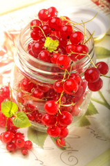 Rote Johannisbeeren im Einmachglas