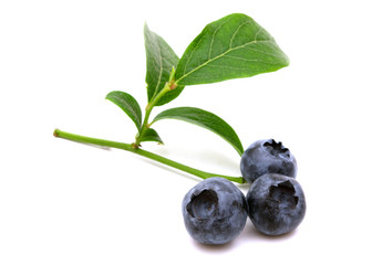 fresh bio bilberries on white background