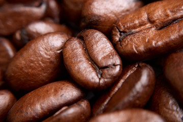 Coffe beans close-up