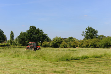 Obraz premium Mowing the grass