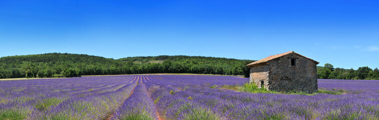 Panorama de provence