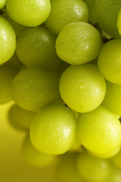 Fresh green grapes