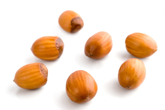 Noisettes