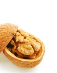 Walnut