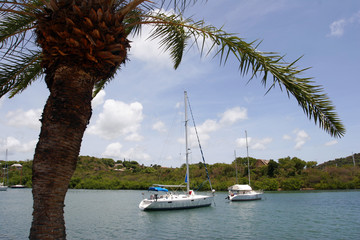 Yachts on Falmouth Bay, English Harbor