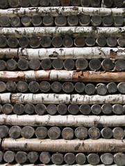 Stack of birch  firewood