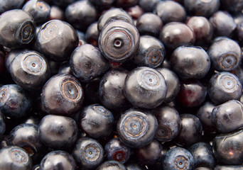 Blueberries