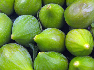 Fichi-02