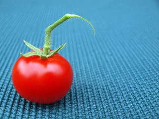 Singel Tomate