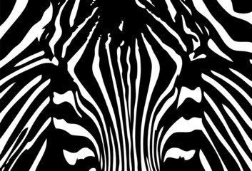 vector - black and white zebra background © Pavel Bortel